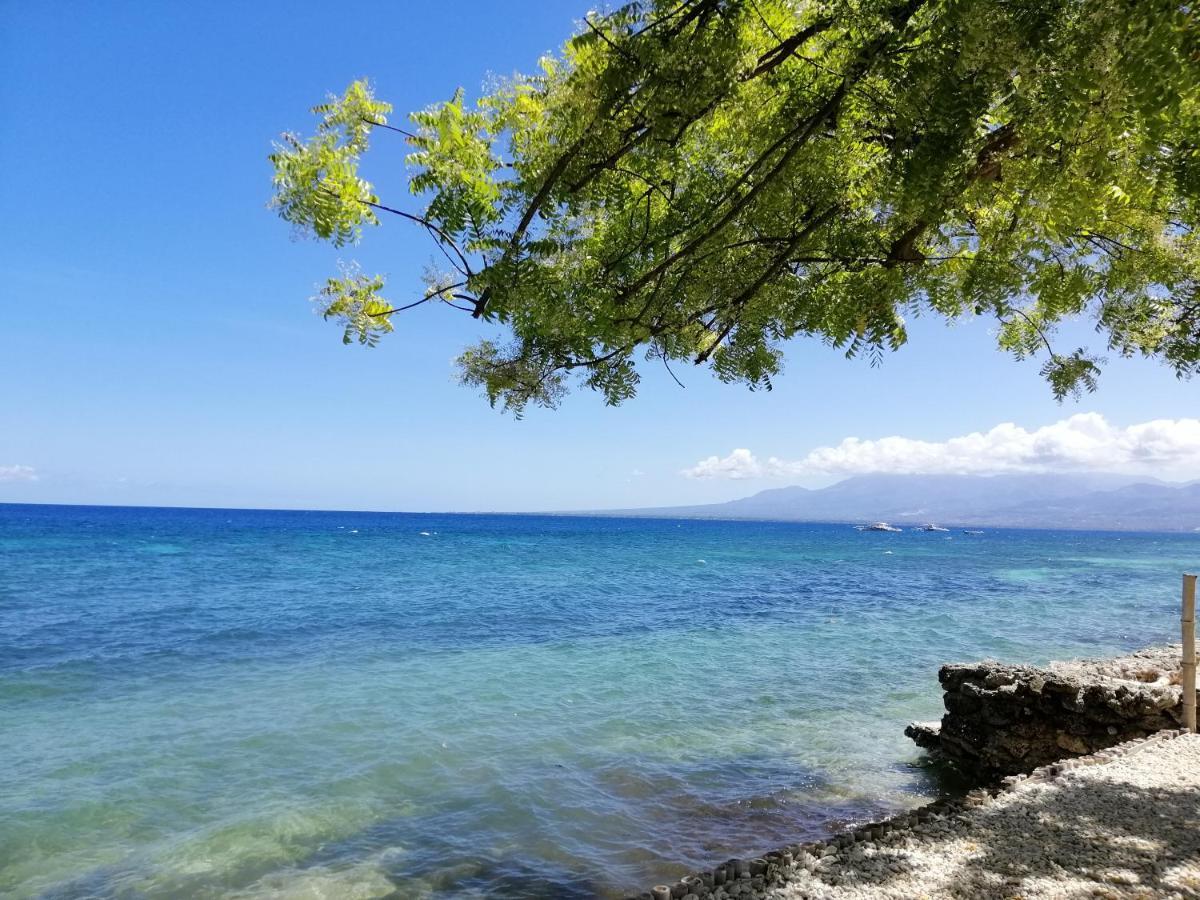 Southseas Beach Resort And Dive Center Santander Buitenkant foto